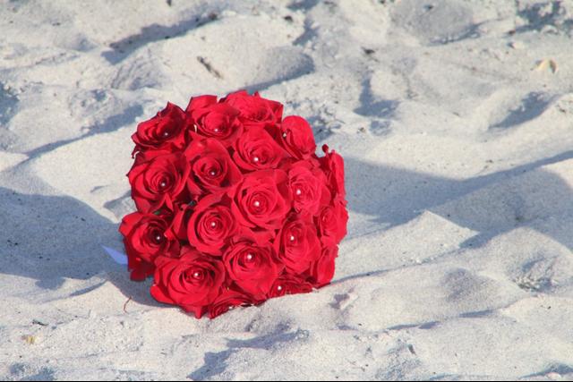 Cocoa Beach Weddings - 3