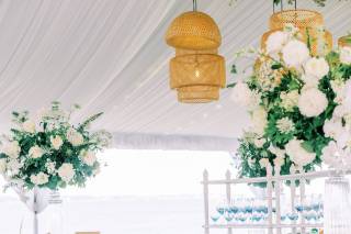 Stephanie Shaul Events - 16