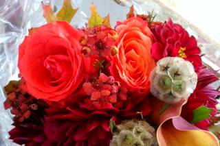 Not Just Flowers - 1