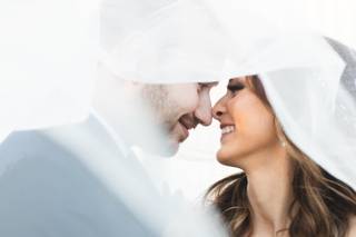 Firefly Gardens - 18