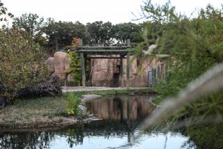 Luthy Botanical Gardens - 8