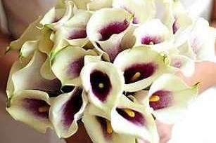 Tiger Lily Floral - 22