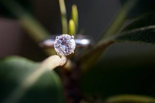 Anna Bowser Photography - 17