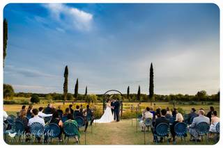 Tiffany Hofeldt Photography - 68