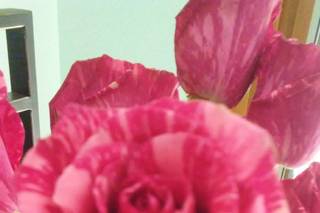 Hollon Flowers - 24