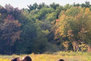 Michigan Wildlife Conservancy - 3