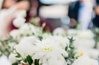 Alessandra Parks Photography - 52
