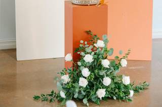 Lloyd Photo & Films - 6