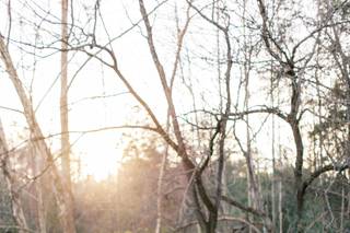 Amanda Somerville Photography - 14
