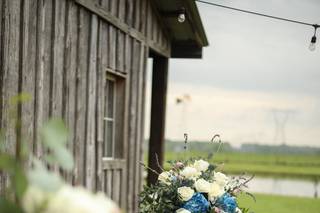 Dove Meadows - 5