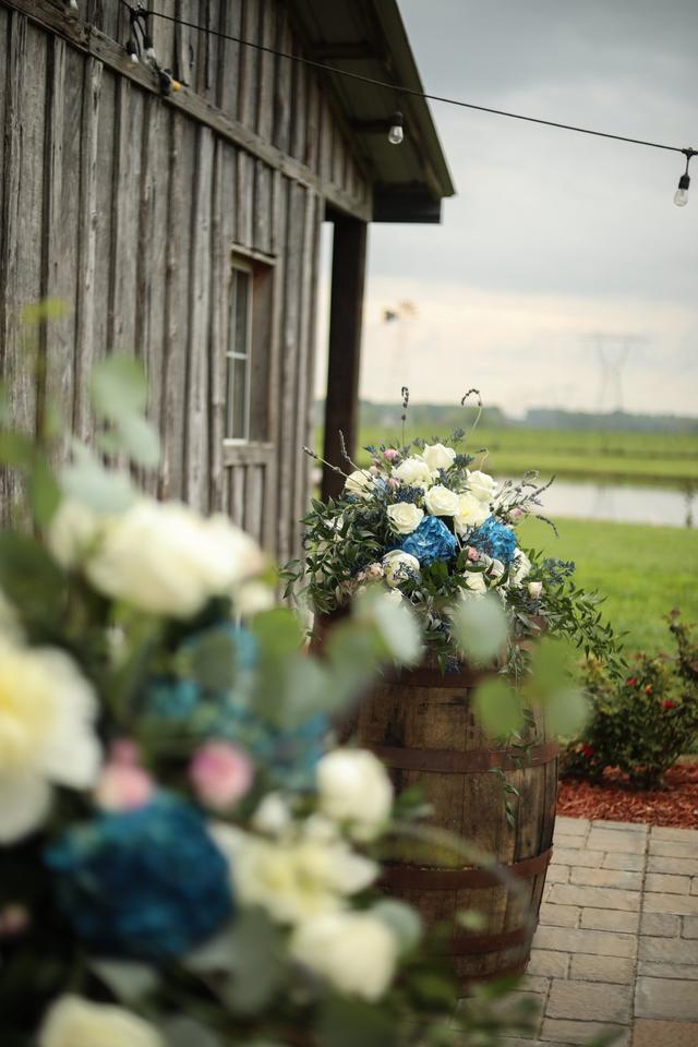 Dove Meadows - 2