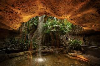 The Houston Museum of Natural Science - 7
