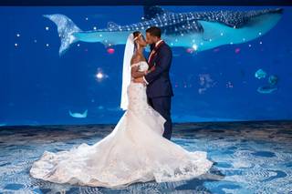 Taun Henderson Photography & Film - 15