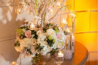 The Flower Petaler - 12