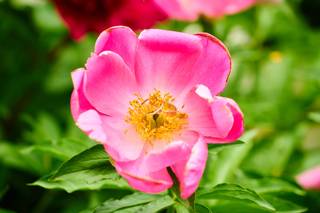 Matthew Eberle Photography - 35