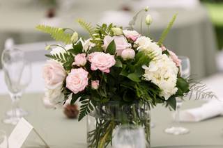 Reiman Photography - 19