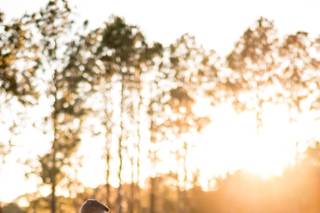 Bridlewood Ranch - 129