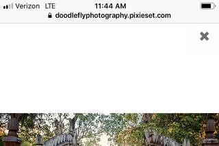 Doodle Fly Photography - 5
