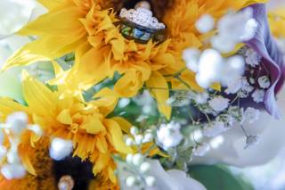 T. Rayne Photography - 22