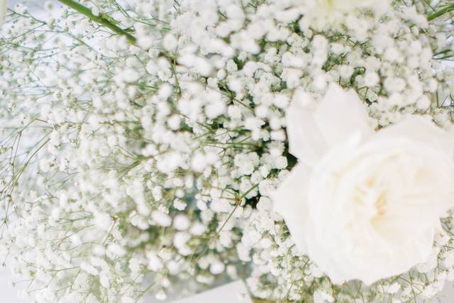 Pixies and Petals 2