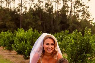 Southern Honeybee Photography - 37
