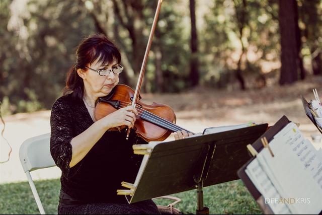 Harmony Strings - 2