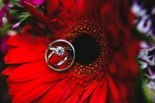Suzanne Jakes Photography - 12