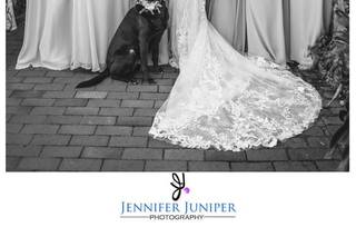 Jennifer Juniper Photography - 44