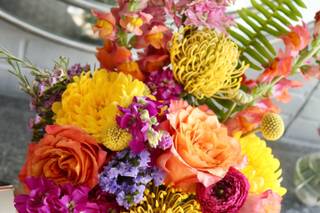 Fresh Floral Wrap — Petri's Bellevue's Full Service Florist and Plant Shop