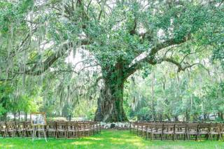 Pure Luxe Bride - 16