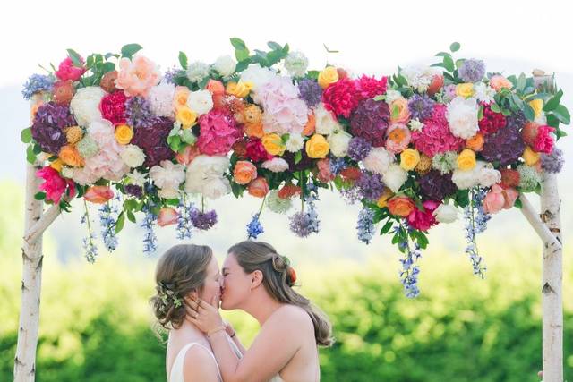 Tricia McCormack Photography 1