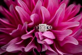 Christopher Deau Photography - 6