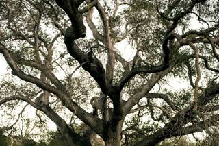 Samantha Turchin Photographs - 29