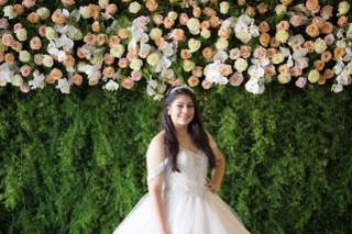 Stemmed Floral - 19