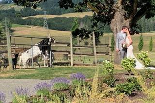 Abbey Road Farm - 63