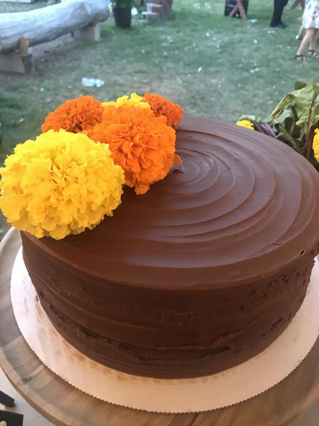 Honeycombe - 1