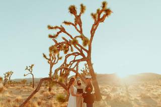 The Vow Keeper - 50