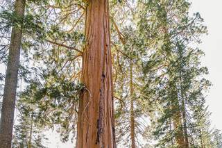 CJ Hopper Photography - 5