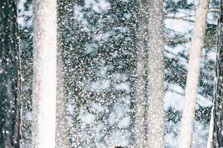 Shane Long Photography - 36
