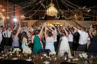 Tessa Rice Photography - 7