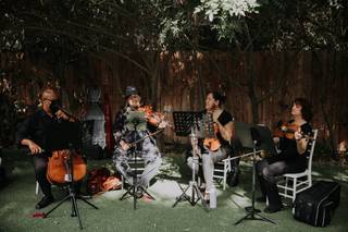 Eliana Strings - 20