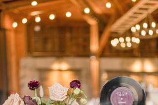 Dana Arnold Photography - 13