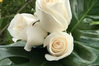 Pike's The Flower Shop - 38