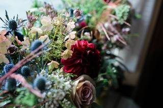 Petals and Moss - 5