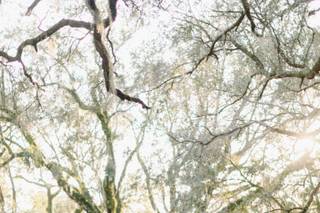 Amy Riley Photography - 6