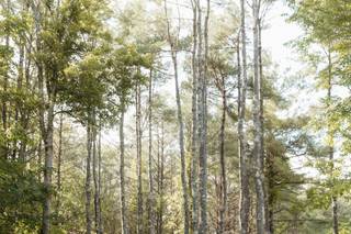 Magic Arrow Photography - 43