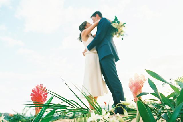 Wendy Laurel Photography - 2