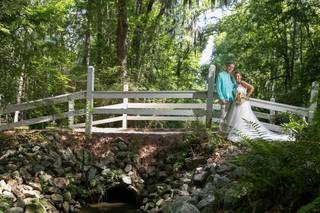 Dream Weaver Photos - 42