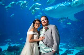 Sweetwater Wedding Photography & Video - 7