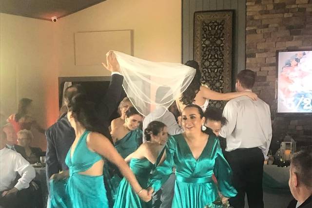 Elegant Entertainment DJ and Video Services 1